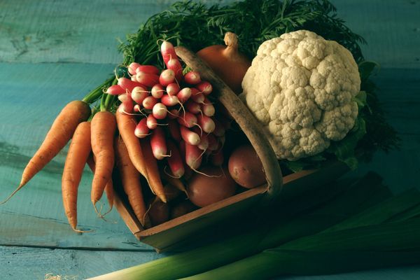 500 personnalités ont décidé de diminuer collectivement leur consommation de viande et de poisson, en participant à la campagne du « Lundi vert ».