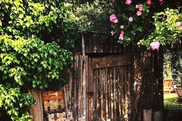 Cabane de jardin