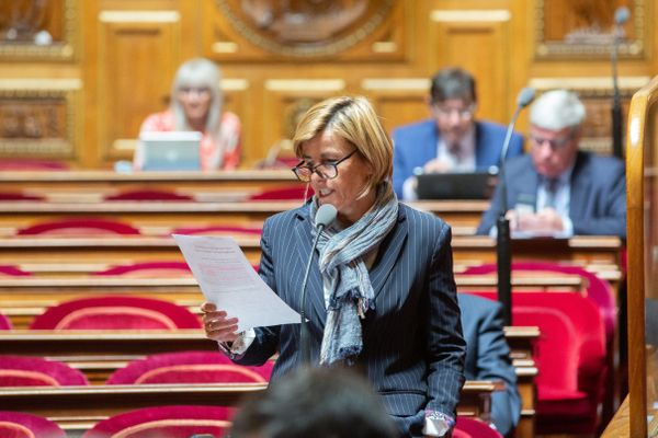 Frédérique Puissat est sénatrice LR de l'Isère depuis 2017.