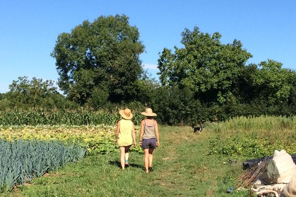 Clémence Bonnet, wwoofeuse et Amandine Pacault, maraîchère à St-Pardoux (79).