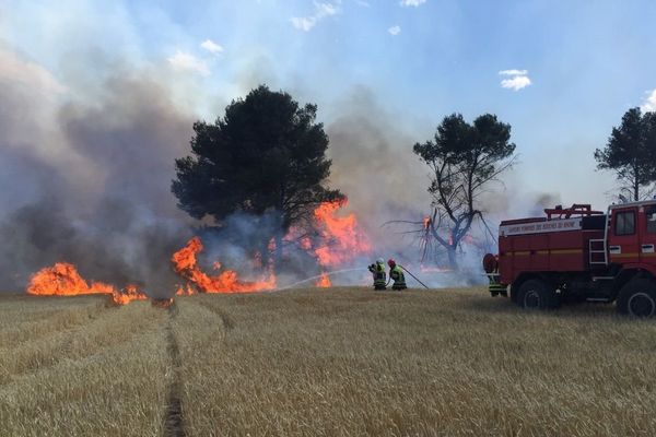 Le feu se propage vite dans les champs et les forêts attisé par un vent à 40 km/h.