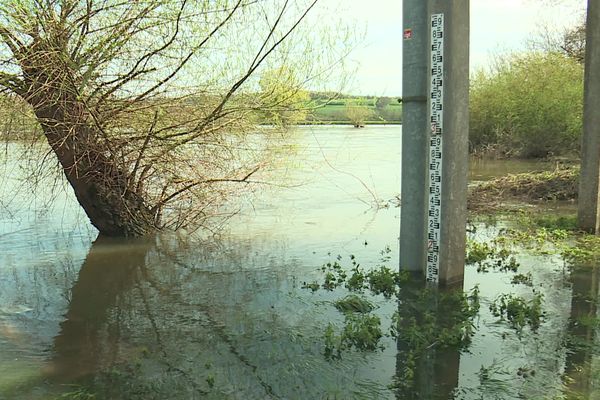 L'Arroux en Saône-et-Loire, toujours au-dessus de sa cote habituelle 2 jours après le pic de crues du 1er avril 2024 (+ de 2m40)