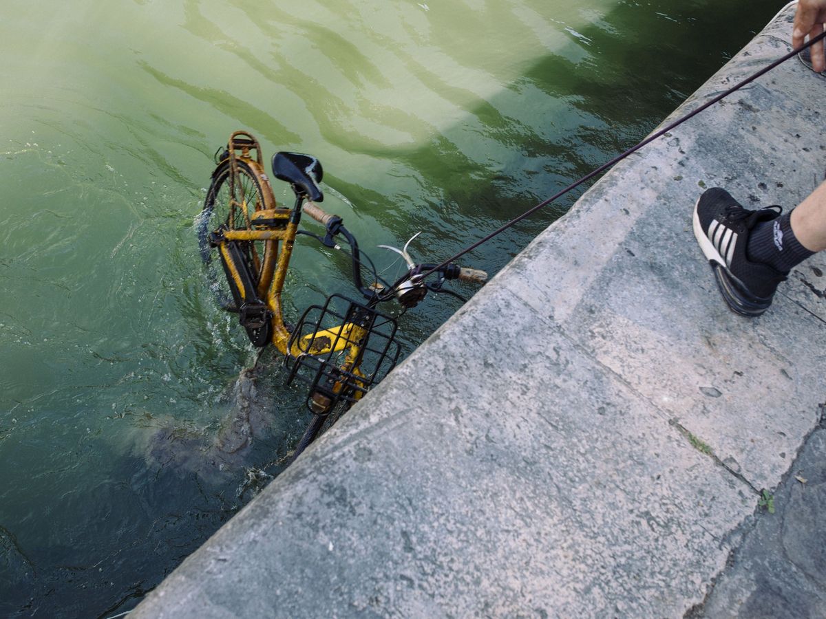 Vaucluse. Bédarrides : la pêche à l'aimant, une façon de dépolluer les  cours d'eau