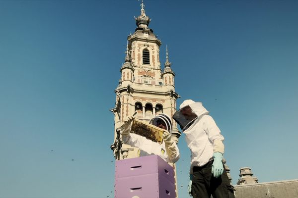 Lille, son beffroi et ses ruches