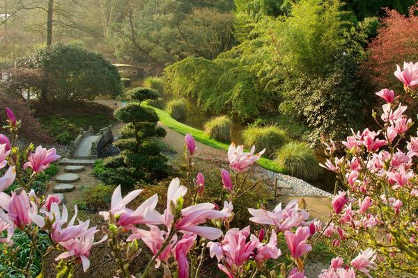 Les jardins du Parc botanique de Haute-Bretagne sont magnifiques en ce mois d'avril 2020, mais personne ne peut les voir