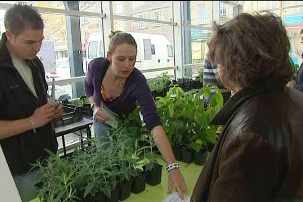 Cherbourg, distribution de plantes vivaces, 13 avril 2014