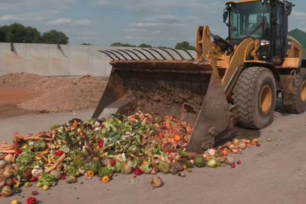 Nos déchets alimentaires valent de l'or.