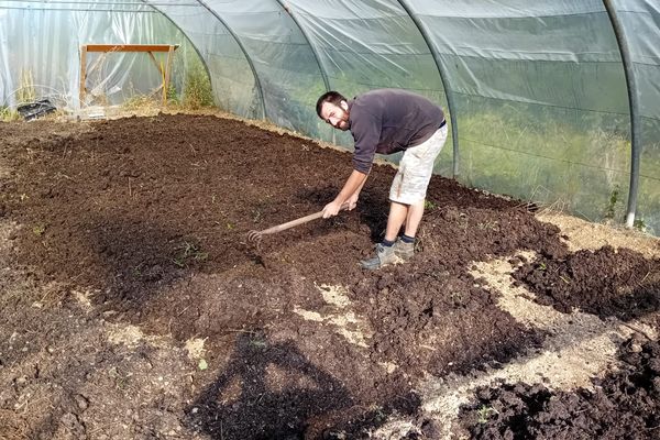 Geoffroy Lamy, maraîcher à Arc-sur-Tille, a pu s'installer sur 3,6 hectares de parcelle agricole grâce à l'investissement d'Eric Dalissier