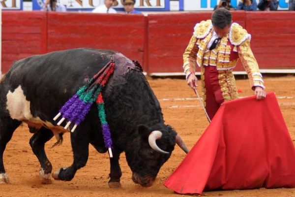 Mexico, 15 novembre. Le relâchement de Diego Urdiales devant "Personaje". 