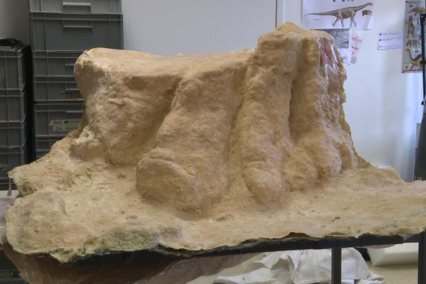 La copie de la patte de sauropode réalisée au Musée d'Angoulême à partir de l'empreinte découverte à Angeac-Charente.