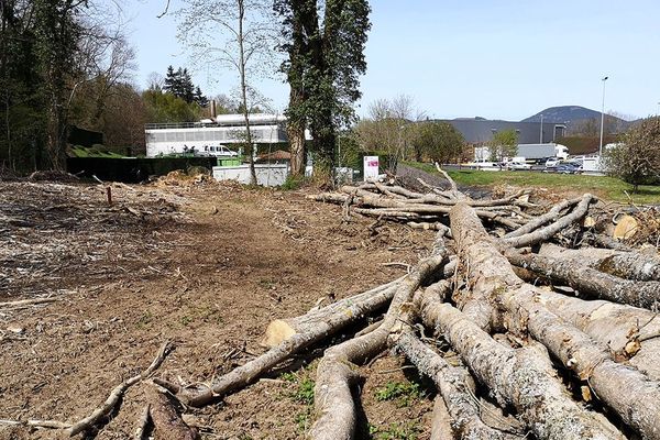 Pour agrandir et moderniser la déchetterie de Theix, il va falloir faire de la place au détriment de la forêt