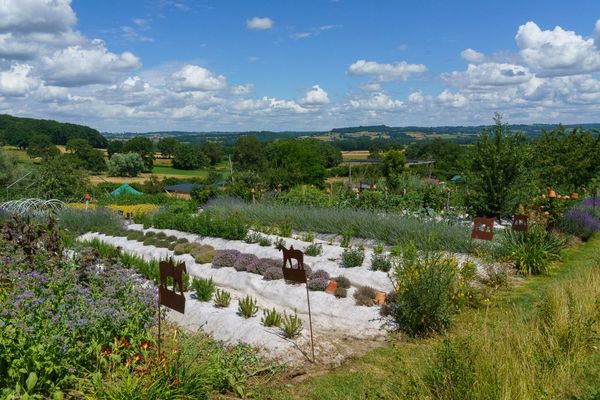 Jardin japonais de Toulouse : guide & infos pratiques