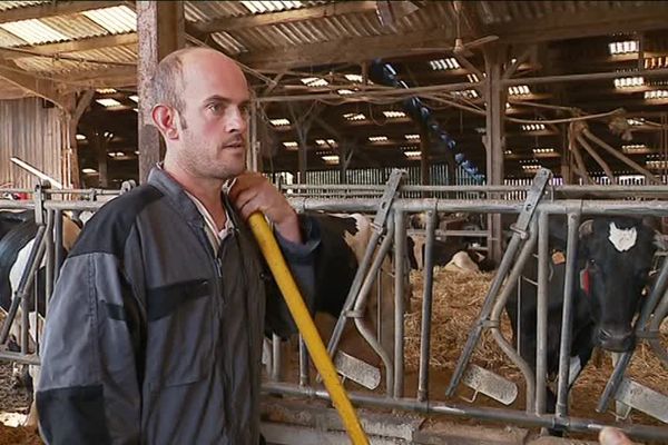 Thomas Jeanneau, devant son troupeau qui doit être abattu après la découverte d'un cas de tuberculose bovine.