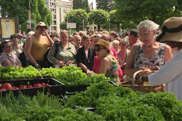 Plusieurs centaines de personnes sont venus récupérer les légumes de la ville.