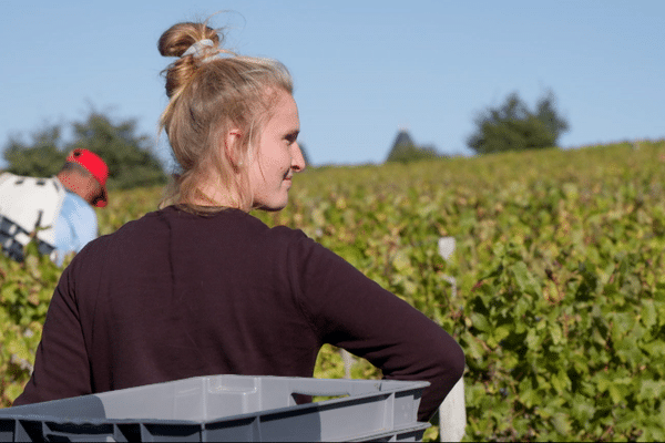 Les vignerons du vivant