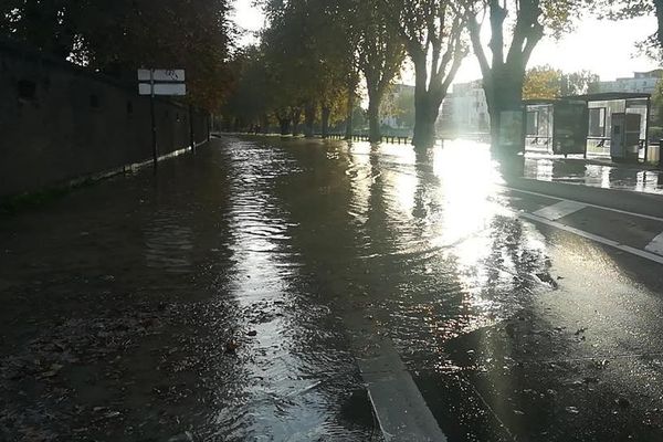 Le quai Menachem Taffel au bord du canal du Rhône au Rhin à Strasbourg.