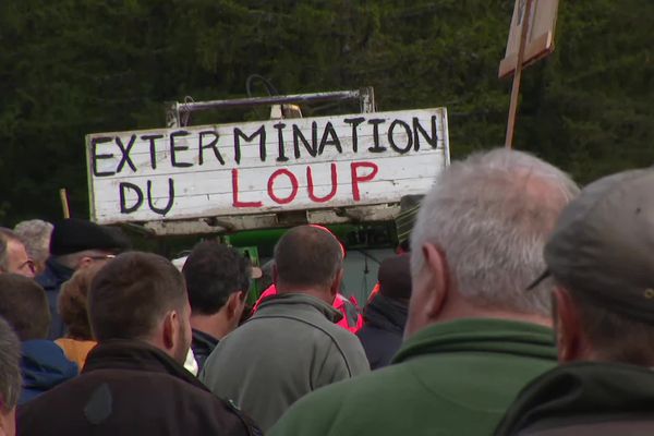 Environ 500 éleveurs ont manifesté contre les attaques de loups.