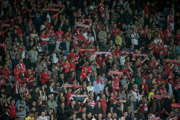 Les supporters nîmois dans les tribunes du stade des Costières - illustrations