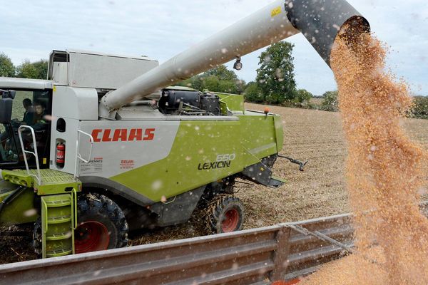 2014 marque une année de rendement exceptionnel pour les récoltes de maïs en Poitou-Charentes