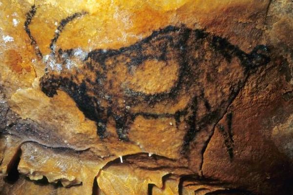 Photos. Plongez à la découverte de la grotte Cosquer avant sa  reconstitution à Marseille