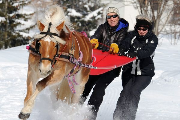 Le "ski joëring" ou "ski à cheval", désormais pratiqué jusque dans les Vosges, est originaire de Scandinavie.