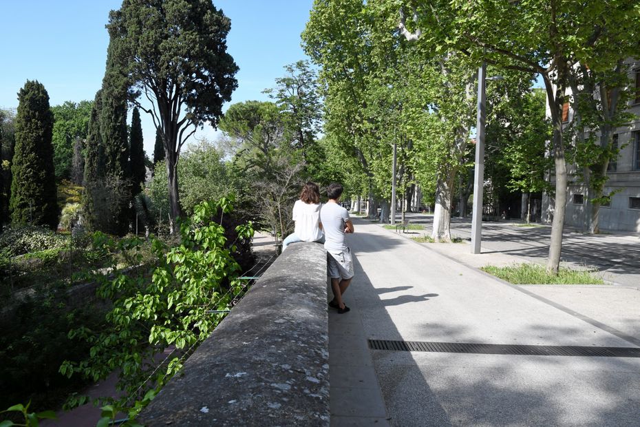 Loto Du Patrimoine L Intendance Du Jardin Des Plantes De Montpellier   62305e078dd55 Jardin Des Plantes Maxppp 