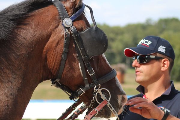 Thibault Coudry lors d'un entrainement à l'épreuve d'attelage au centre équestre fédéral de Lamotte-Beuvron