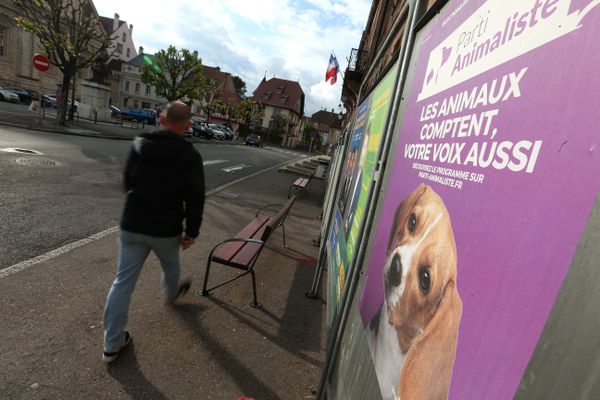 Considéré comme un "petit parti", le Parti animaliste présente des candidats dans 421 circonscriptions