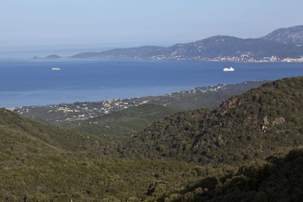 Illustration. Le littoral de Corse.