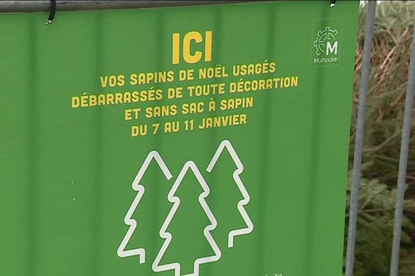 Cinq enclos à sapin sont installés à Mulhouse