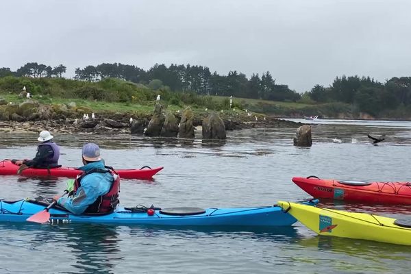 Encadré par Jules, un groupe de kayakiste part pour une excursion sur la petite mer