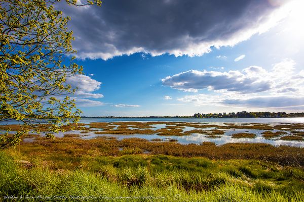  Le site du Rémoulin dans la Ria d'Etel - Nostang (Morbihan)