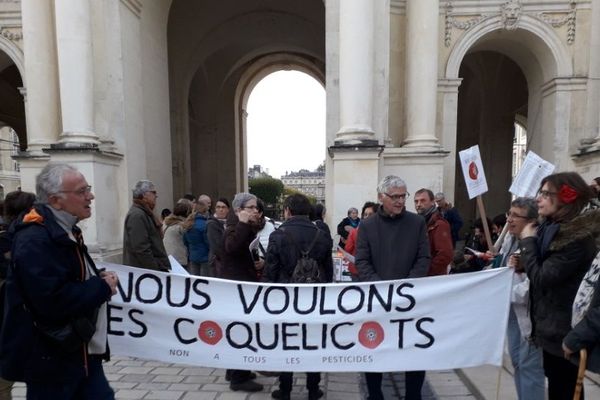 Les membres nancéiens du mouvement "Nous voulons des coquelicots" se sont réunis vendredi 4 octobre 2019 à 18h30 au centre-ville.