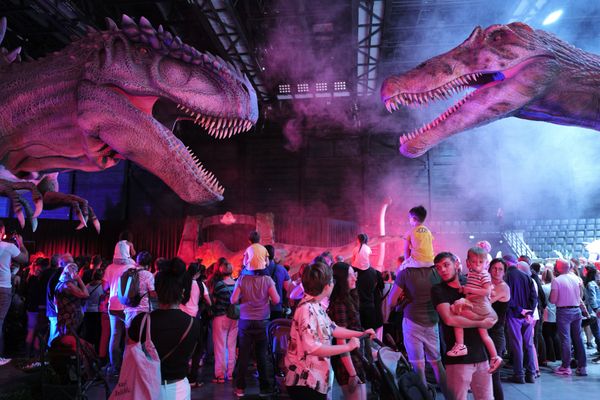 L'exposition de dinosaures du Musée éphémère installée à Narbonne (Aude) les 07 et 08 septembre 2024.