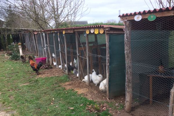 Une vingtaine de lauréats ont été récompensés par Auverboost, avec des projets très différents.