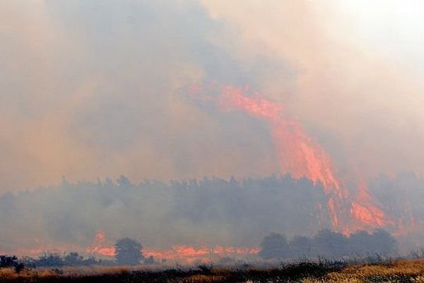 Peyriac-de-Mer (Aude) - 700 hectares de garrigue ravagés par un incendie - 30 juillet 2014