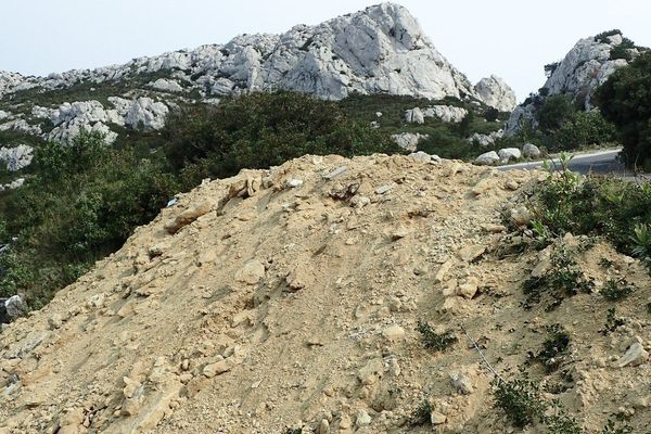 Un exemple de déchets sauvage en plein parc