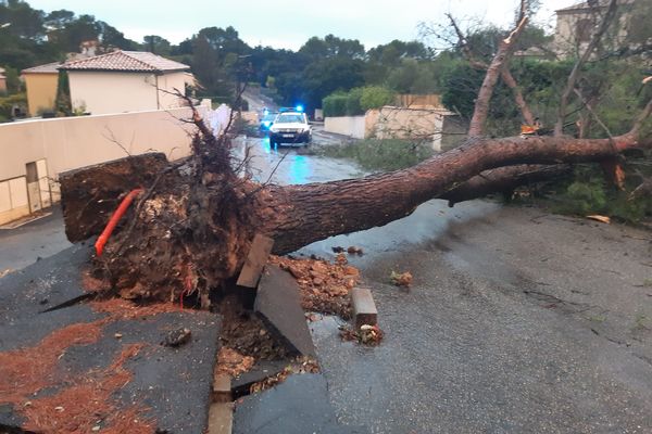 Poulx, un village à proximité de Nîmes a été touché par une tornade en fin d 'après-midi, lundi 30 octobre. Des arbres ont été déracinés par la force du vent.