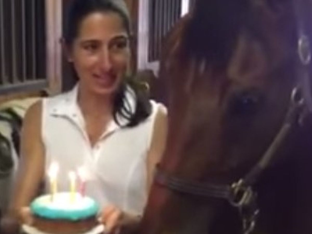 Jd Le Cheval Qui Fete Son Anniversaire Sur Le Net