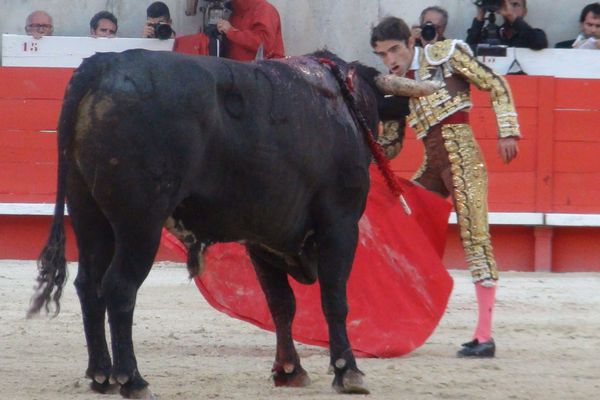 "Déjalo", le cinquième Miura, était nettement plus haut que Fernando Robleño.