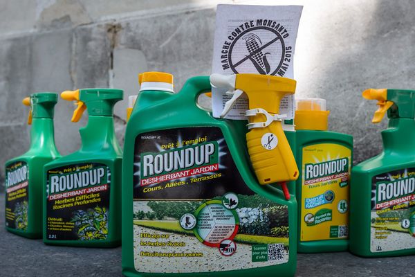 l'objet de la colère de la marche internationale contre Monsanto