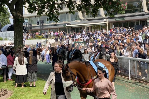 Né à Livré-la-Touche Rosario Baron a remporté le Grand Steeple-Chase de Paris sur l'hippodrome d'Auteuil ce dimanche 21 mai 2023