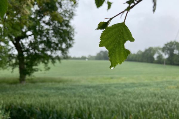 Météo  : mai froid et humide 