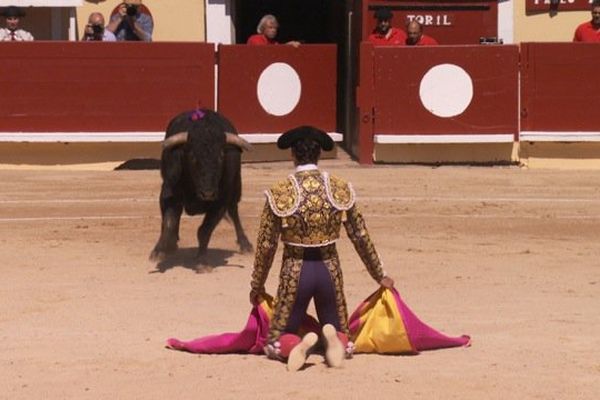 Pablo Aguado, à genoux face à toril. 