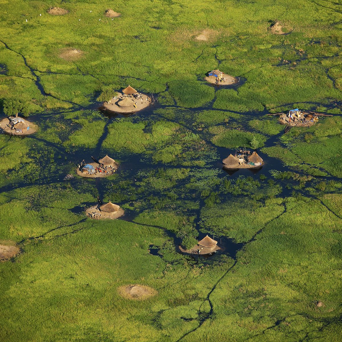 que  suis -je ? - ajonc - -7 août  2024  Bravo  Martine et  Jovany  64bea4338d529_la-terre-vue-du-ciel-de-yann-arthus-bertrand-n-348