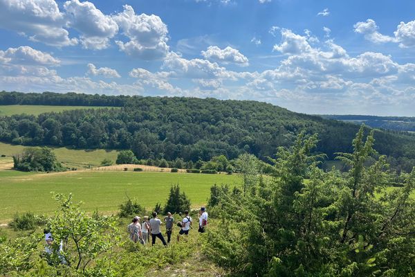 France 3 Champagne-Ardenne propose un journal spécial consacré à la biodiversité depuis Auberives en Haute-Marne le 15 juin.