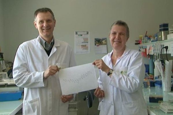 Les chercheurs du Cirad de Montpellier découvreurs de la molécule albicidine - mars 2015.