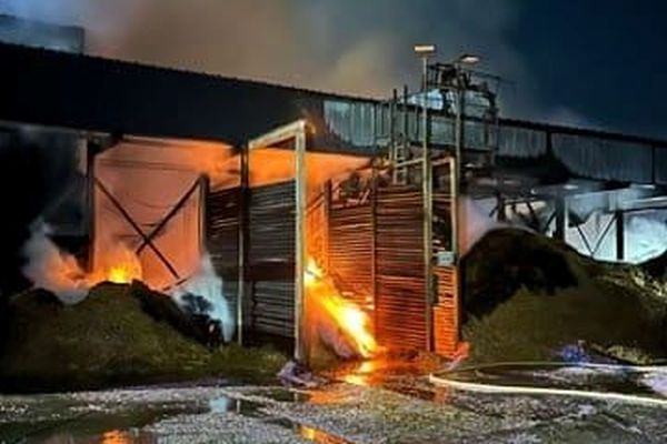 Le feu a pris dans un stock de copeaux de bois