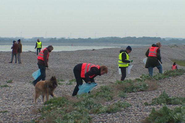 150 bénévoles ont participé à un grand ramassage de déchets marins dimanche 29 septembre sur la plage de Cayeux-sur-Mer.