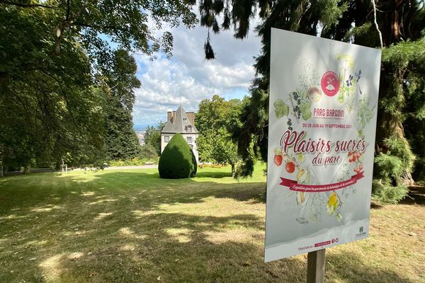 Les plantes à bonbons sont à l'honneur au parc Bargoin de Chamalières, près de Clermont-Ferrand, depuis le mois de juillet.